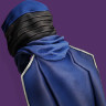A thumbnail image depicting the Righteous Cloak.