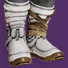 A thumbnail image depicting the Wild Hunt Boots.