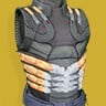 A thumbnail image depicting the Raiden Flux.