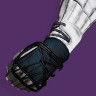 A thumbnail image depicting the Praefectus Gloves.