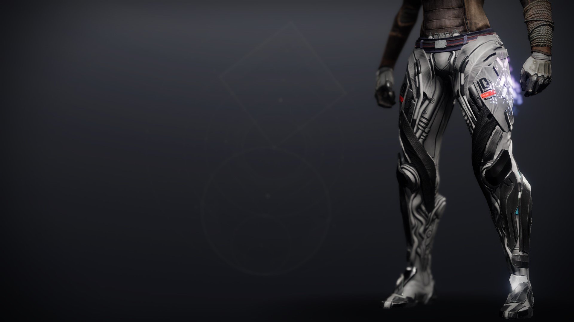An in-game render of the Legacy's Oath Strides.