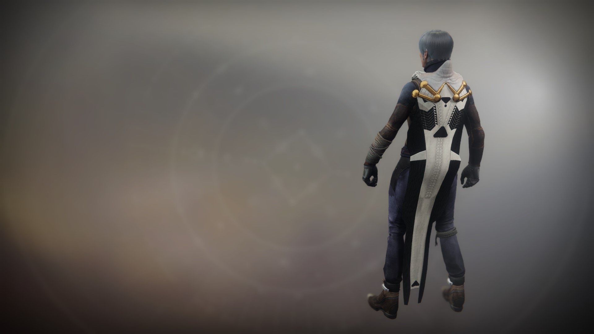 An in-game render of the Shadow's Cloak.