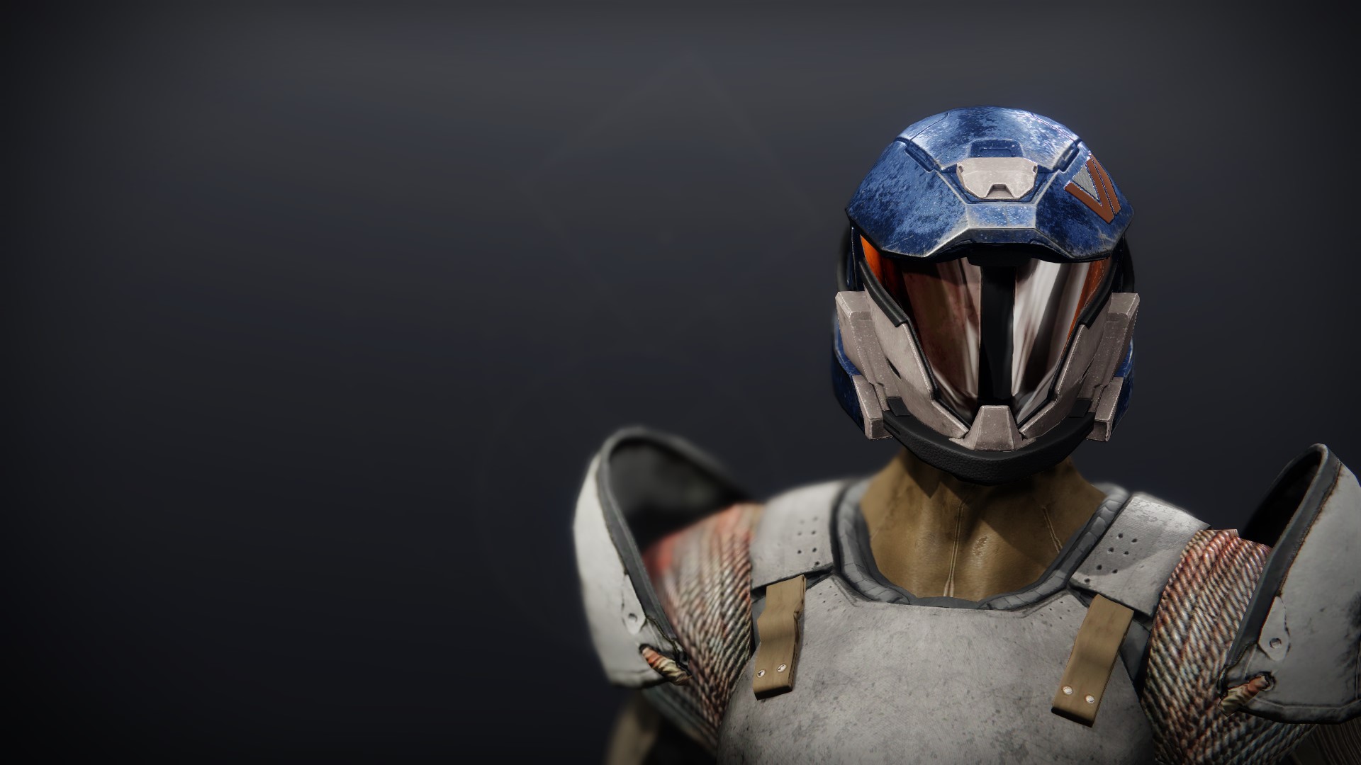 Photosuede Helmet - Destiny 2 DB