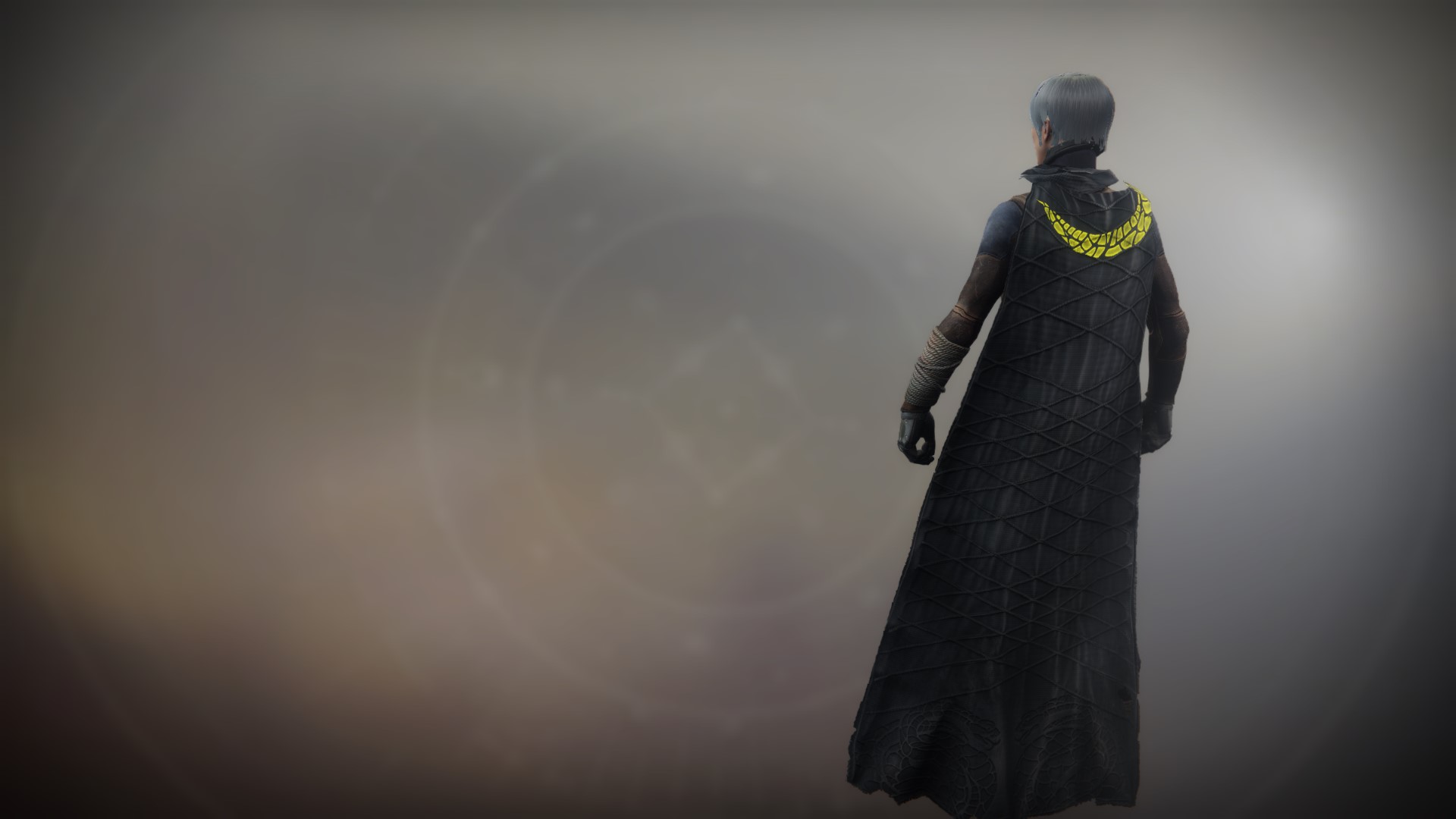 An in-game render of the Illicit Sentry Cloak.