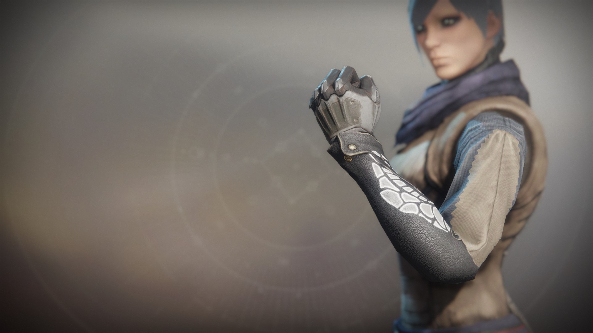 An in-game render of the Notorious Collector Grips.