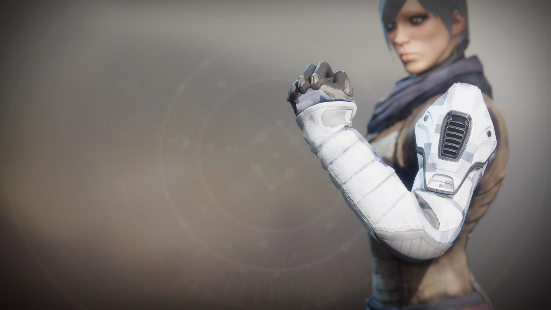 BrayTech Survival Mitts - Destiny 2 DB