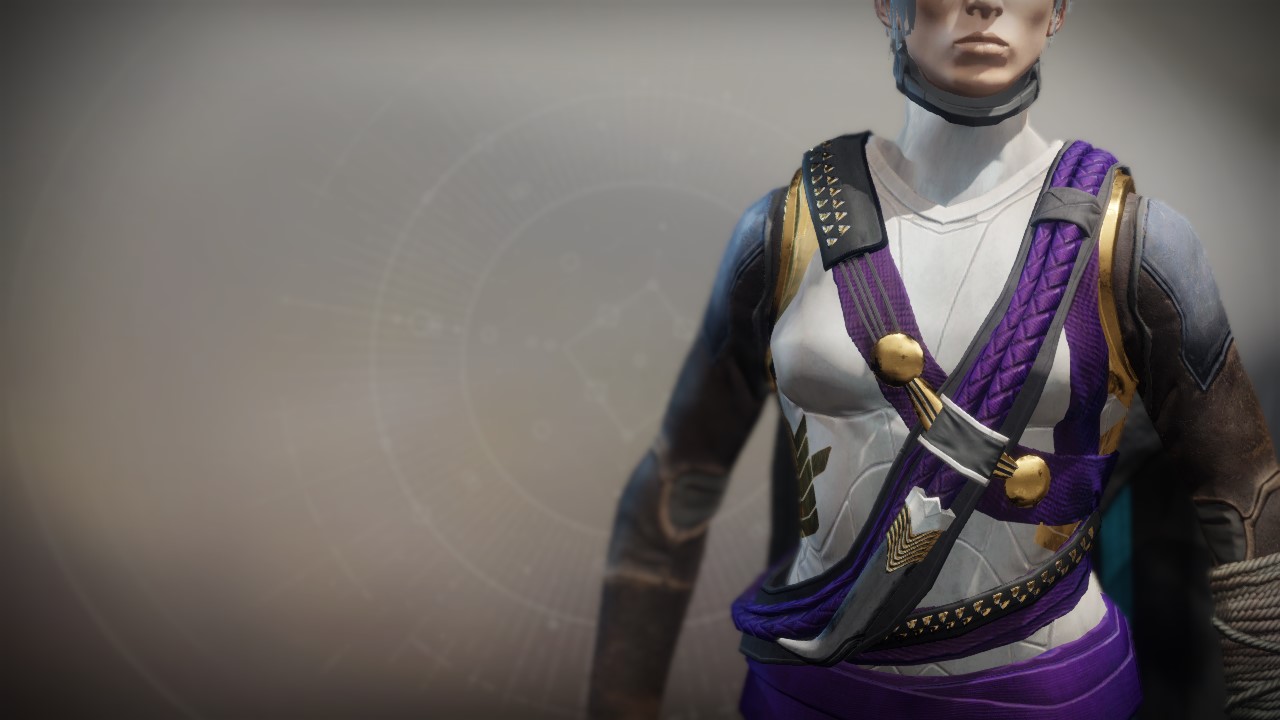An in-game render of the Vest of the Ace-Defiant.
