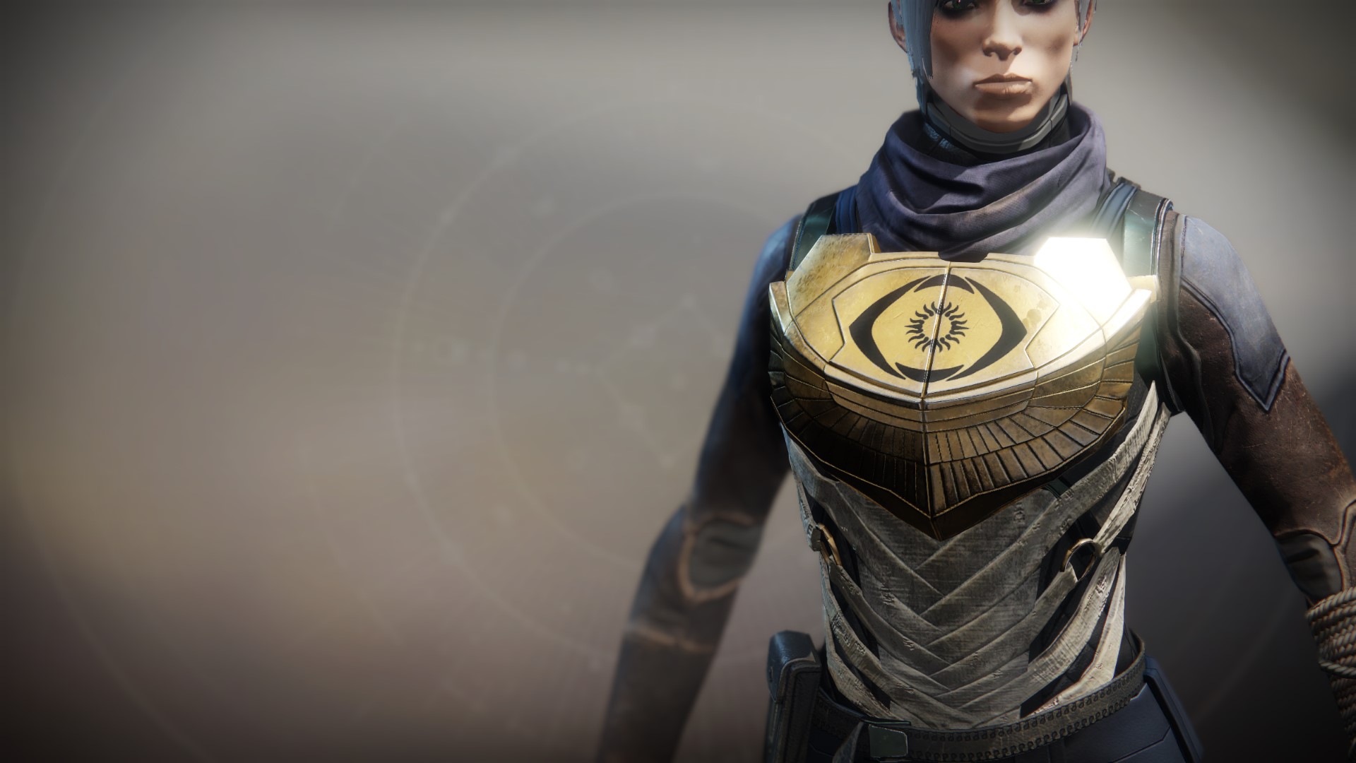 An in-game render of the Vest of the Exile.