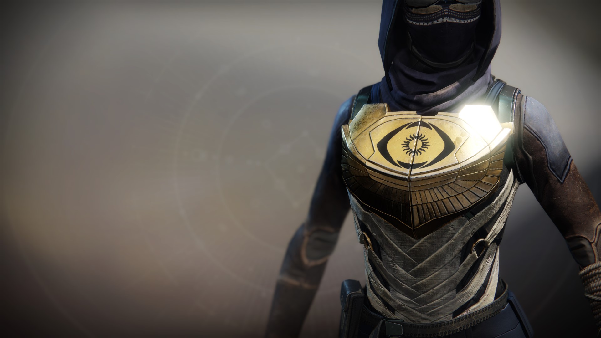 An in-game render of the Vest of the Exile.