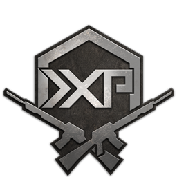 Image of Double Weapon XP Token
