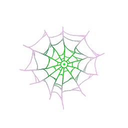 Image of Spiderweb