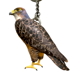 Image of Falcon