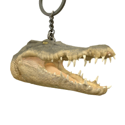 Image of Gator Head