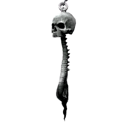 Image of Skull Vertebrae