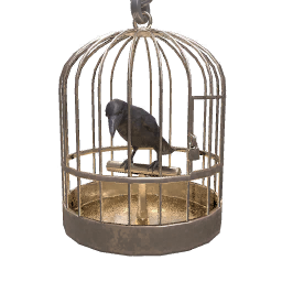 Image of Raven