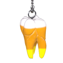 Image of Molar