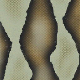 Anaconda