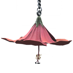 Image of Hibiscus