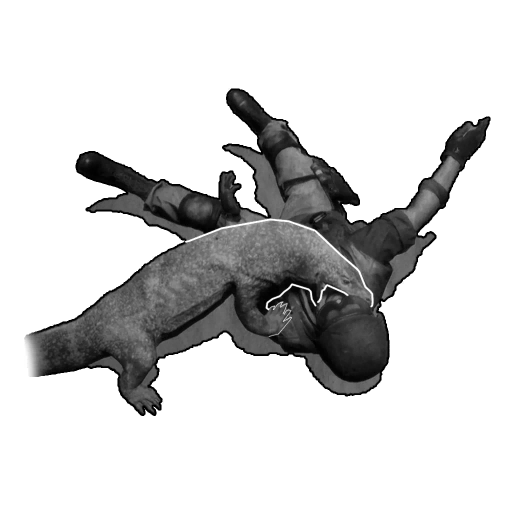 Image of Komodo Dragon