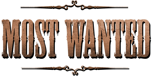 Bundle logo of Most Wanted