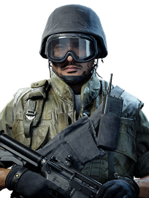 Image of Rapid Response