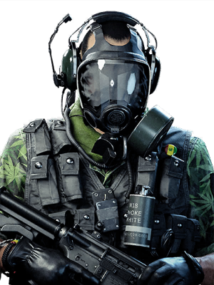 Image of Kushwacked