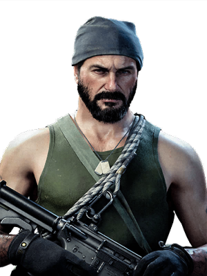 Image of Rogue