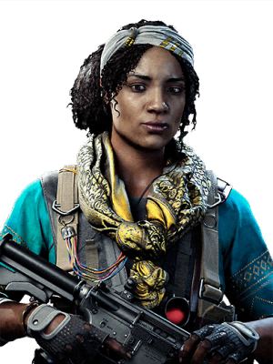 Image of Swerve