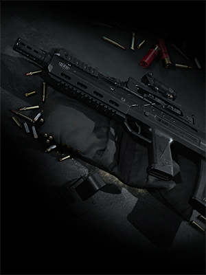 Image of Carbon Bear