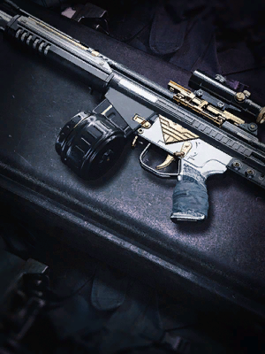 Image of Arbitrator Rifle