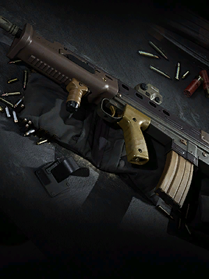Image of Survivalist