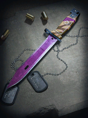 Image of Assassins Blade