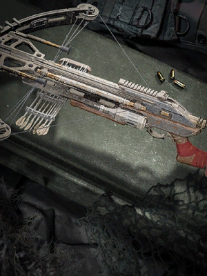 Image of Lancehead