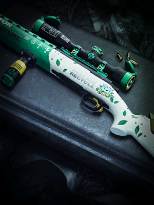 Image of Recycle Rifle