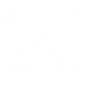 Spycam Icon