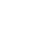 Meddle
