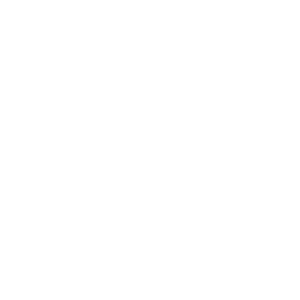 Owl Drone Icon